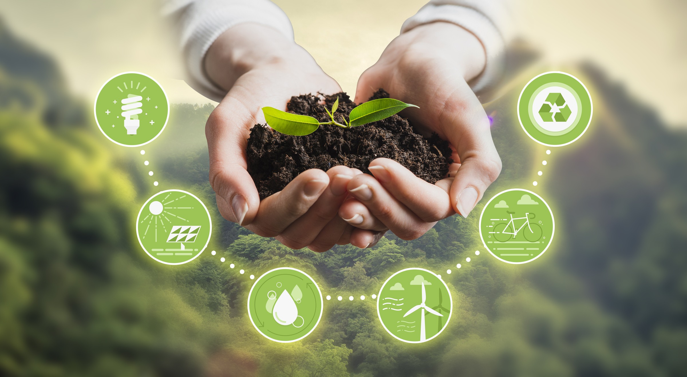 Sustainable Working Environment