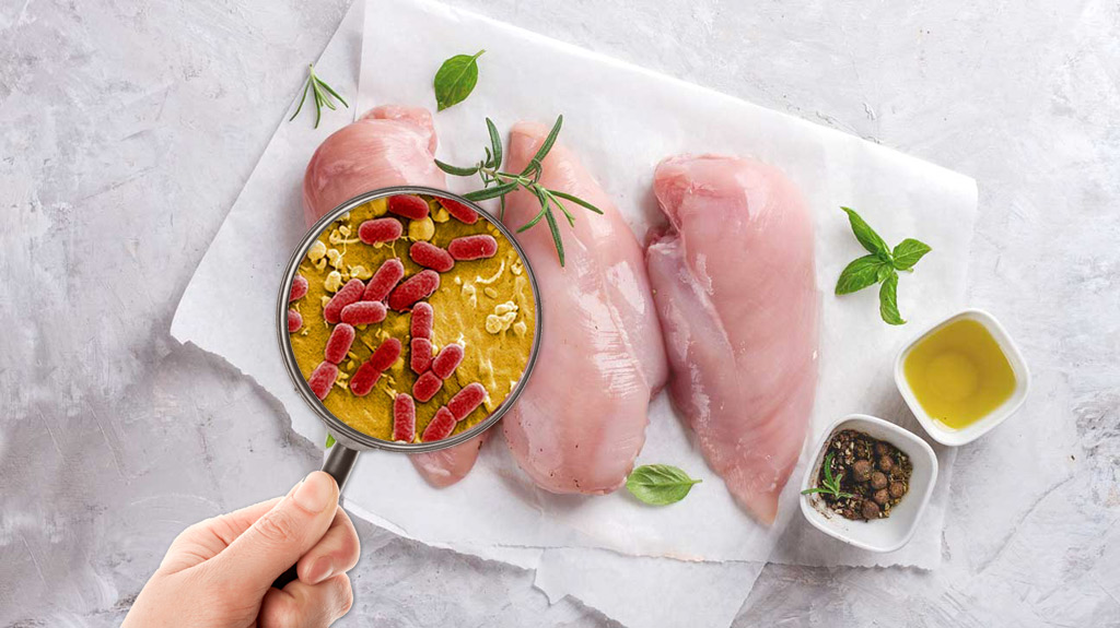 Food Safety: Hazards & Diseases